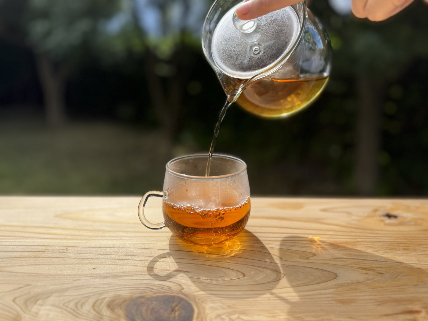 Marutama Hojicha Sachets