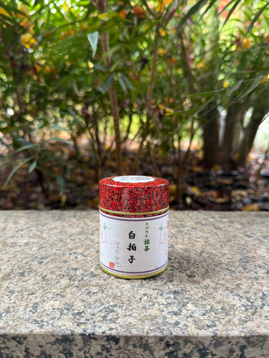 Shirabyoshi Matcha